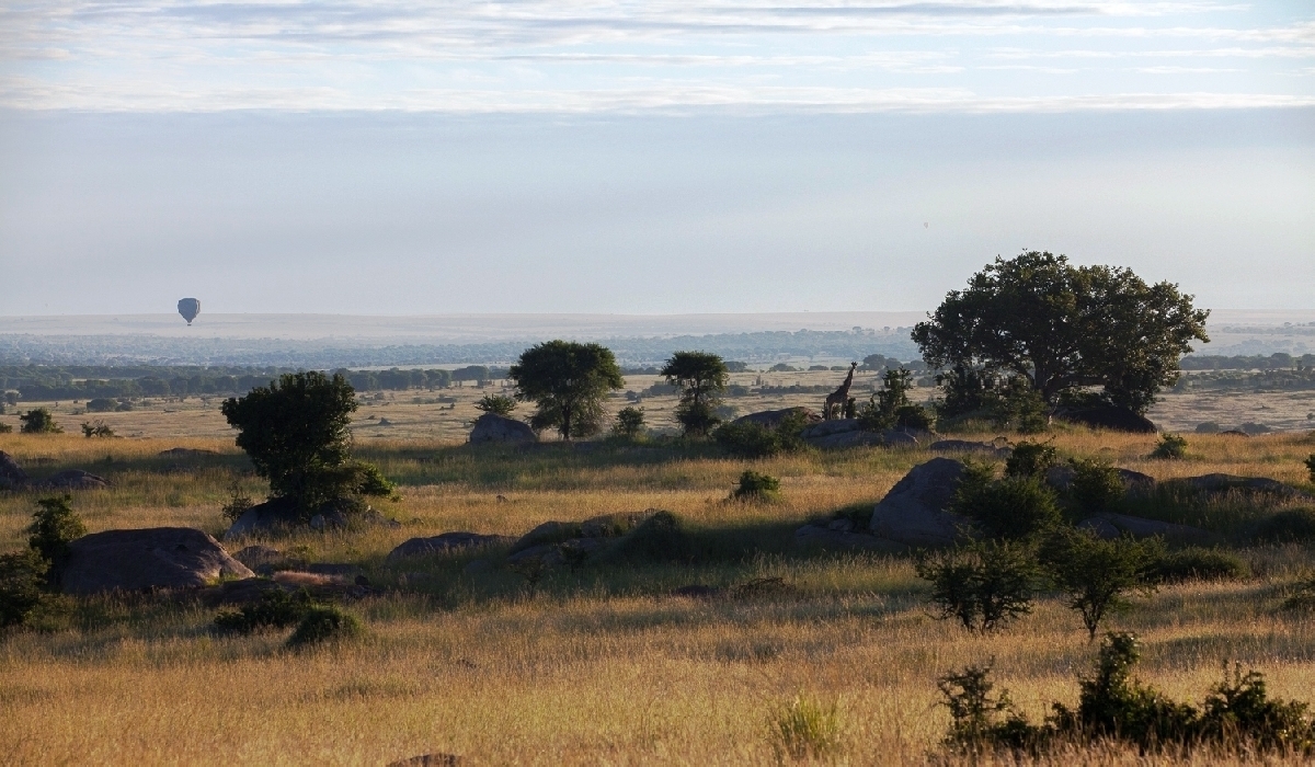 Safari en montgolfière dans la vallée de Seronera