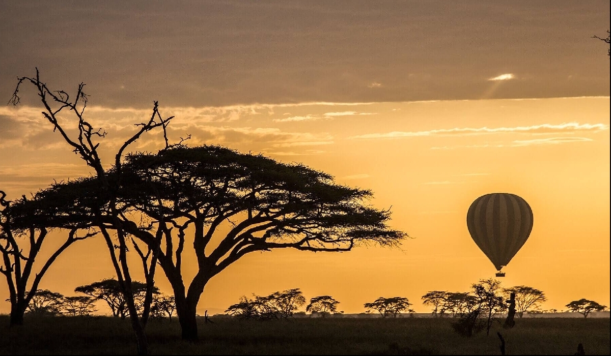 Safari en montgolfière au lever du soleil dans le Serengeti