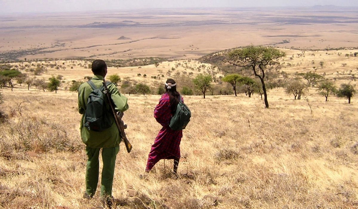 La vallée d'Olduvai et les plaines du Serengeti