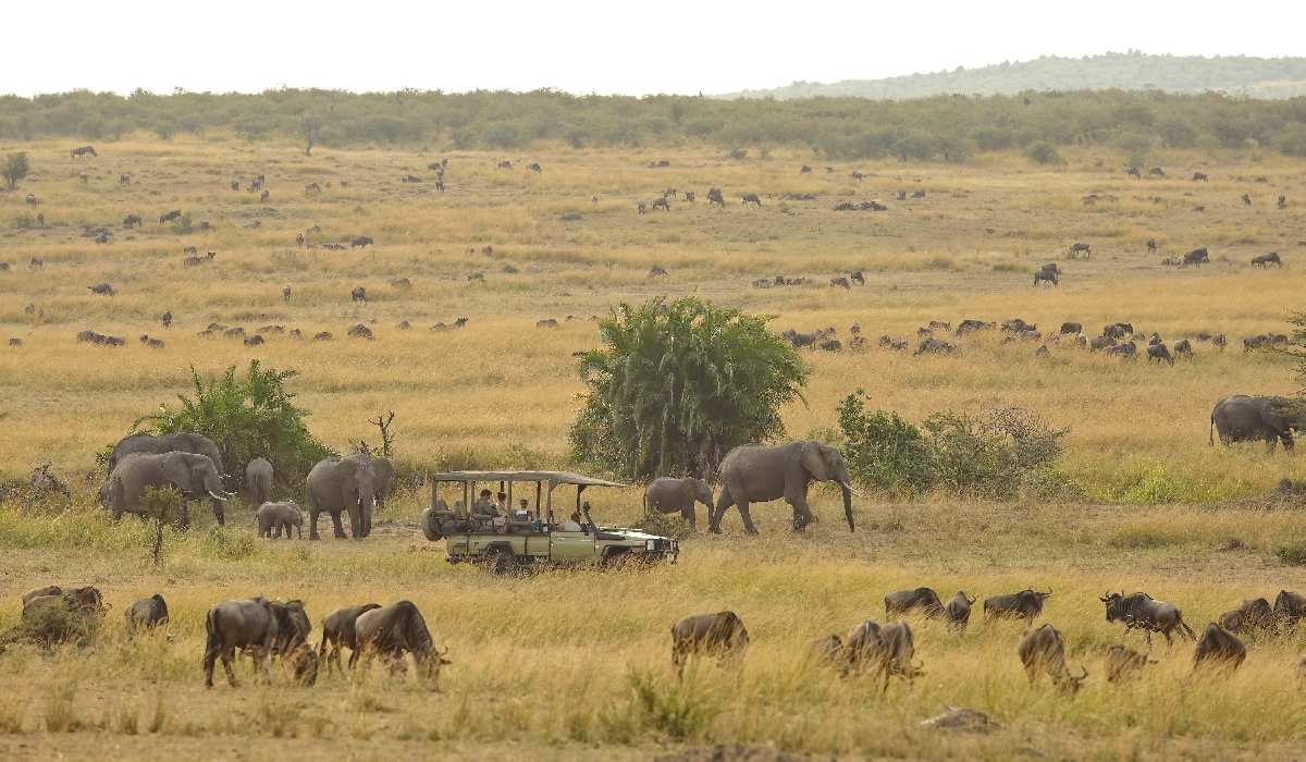 Safari en 4x4 dans le Serengeti organisé par l'équipe du Kimondo Migration Camp