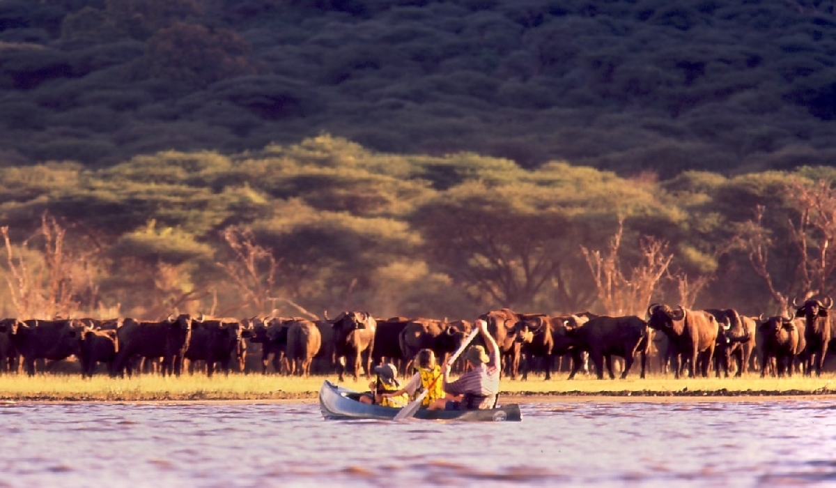 Safari en canoé sur le lac Momela dans le parc d'Arusha