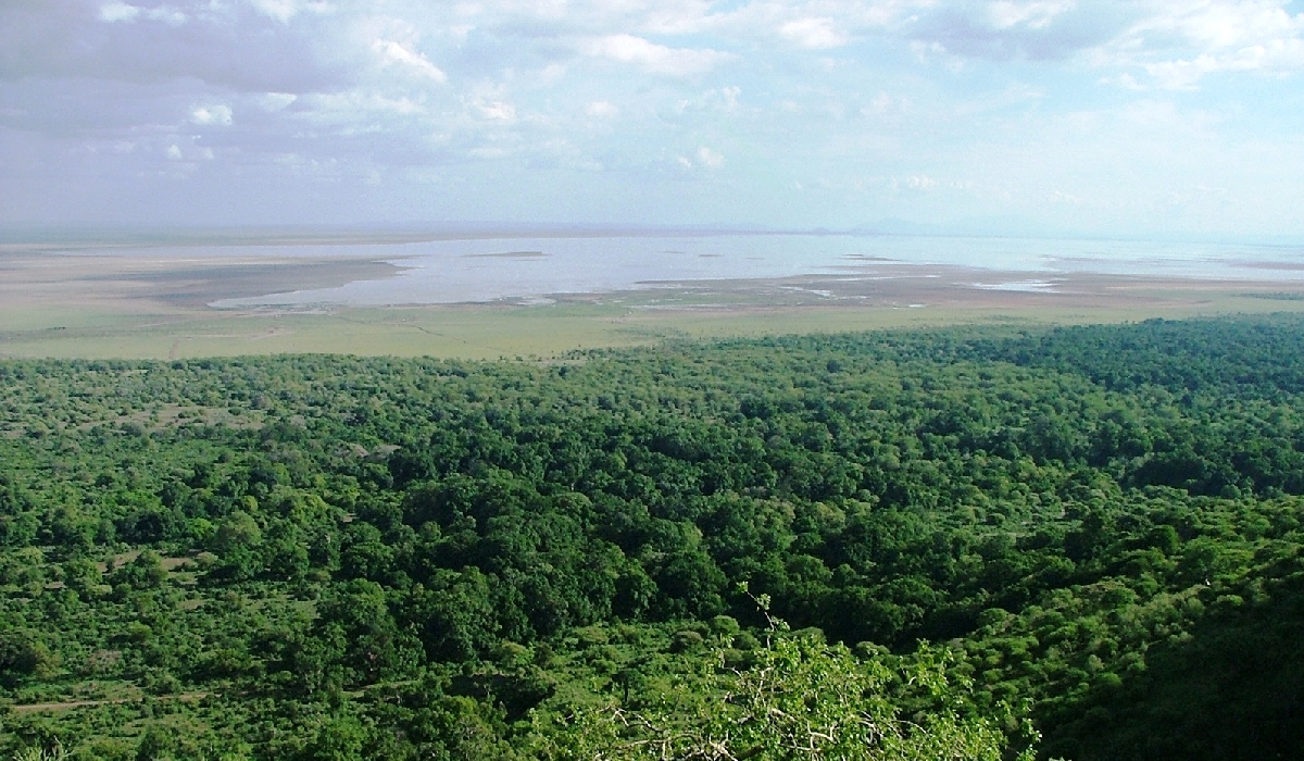 Panorama sur le parc du lac Manyara