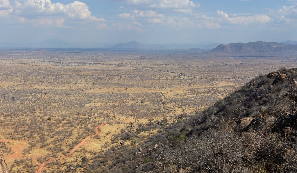 Panorama depuis les collines du parc national de Ruaha