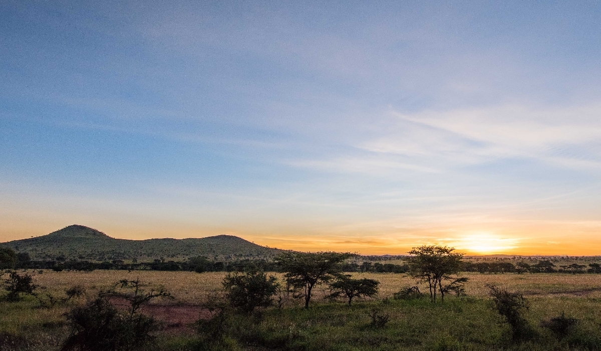 Lever de soleil dans la vallée de Seronera dans le centre du Serengeti