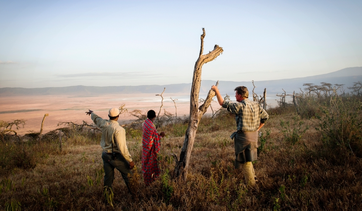 Marche guidée sur l'arrête du cratère du Ngorongoro