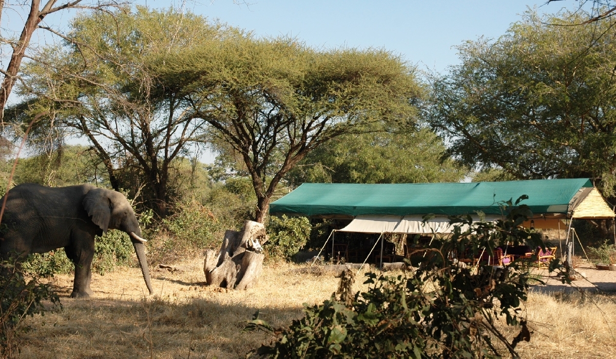 Mdonya River Camp dans le parc de Ruaha
