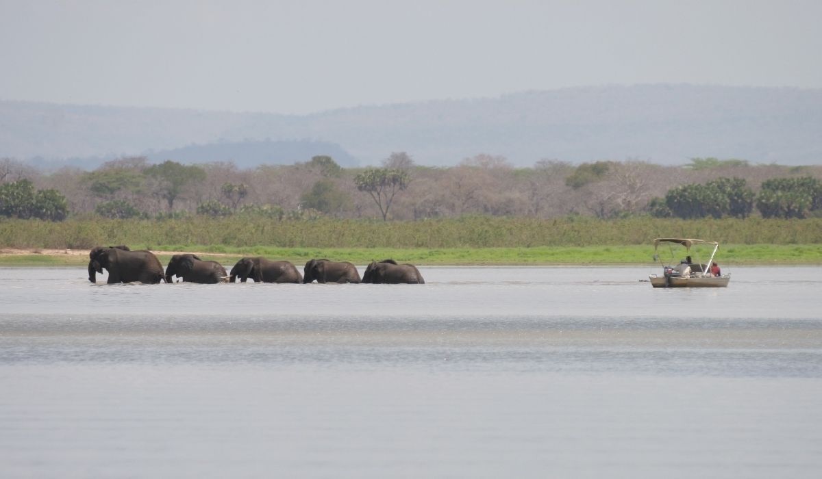 Safari en bateau sur le lac Nzerakera dans la réserve de Selous