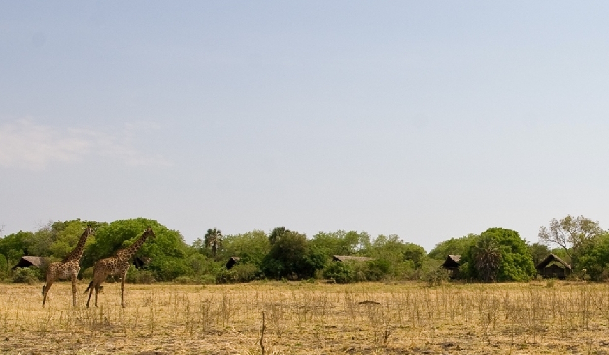 Les chalets du Katavi Wildlife Camp face à la plaine