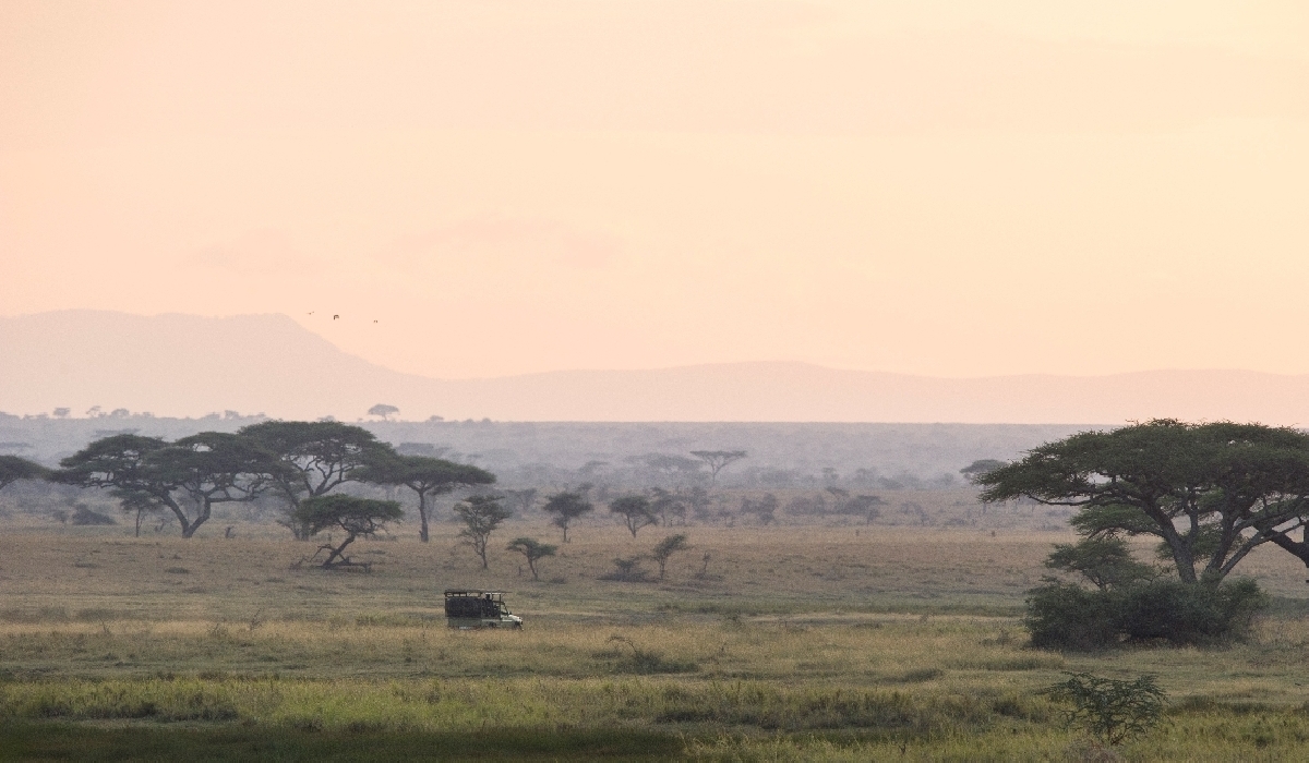 Safari en 4x4 dans le centre-est du Serengeti