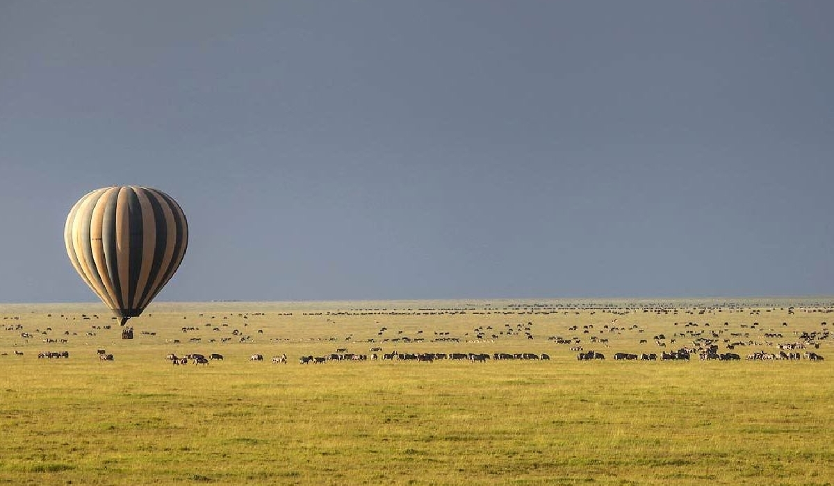 Safari en montgolfière au dessus de la grande migration dans le sud du Serengeti
